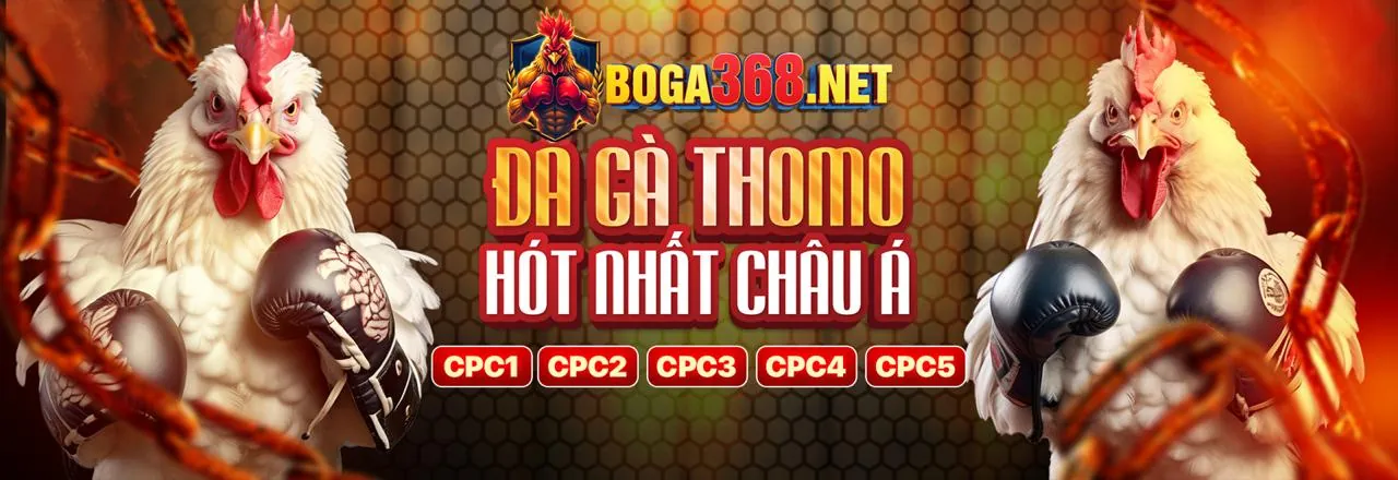 Tham gia rr3366 nhà cái ngay hôm nay