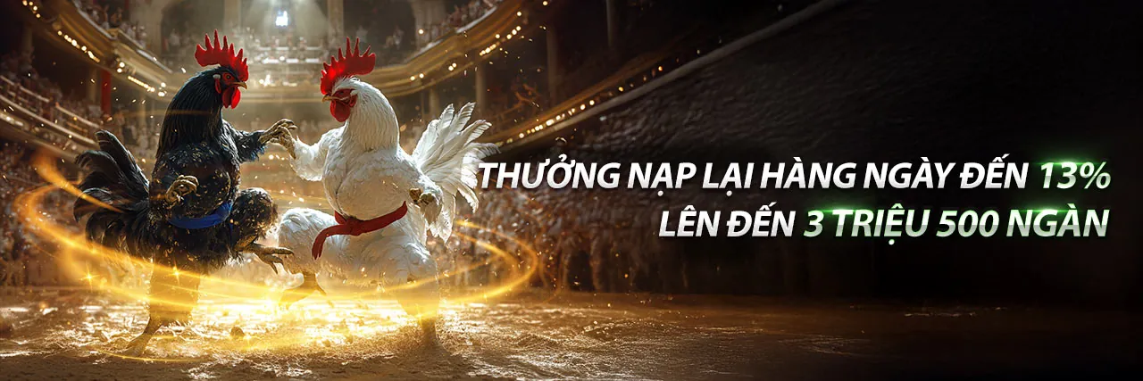 rr3366 nhà cái - Nền tảng Cá cược & Giải trí Trực tuyến Hàng đầu Việt Nam